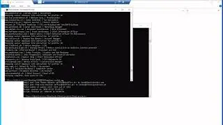 Automated Corporate Intelligence: Using Python to Map Executive Hierarchies (CEO - CFO - HR finder)