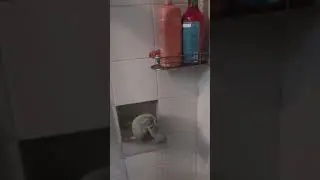 хпхппххппх