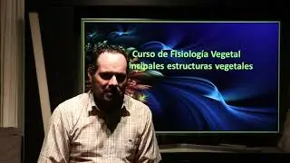 Introducción al curso de Fisiología Vegetal UAM L