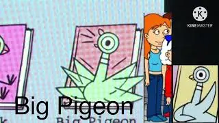 Big Pigeon effects