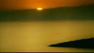 Любимая моя.