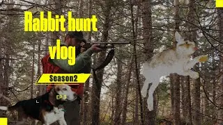 Ep.3 Rabbit Hunt Vlog (Season 2)