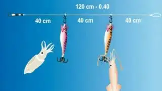 Les différents montages pour le Calamar squid #calamar #pêche #seiche #pêcheur