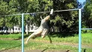 Смешно до боли!