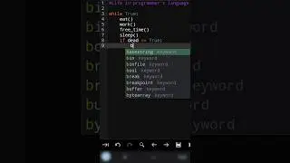 Life : (Programmer edition)  