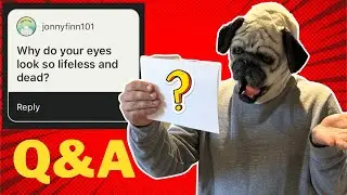Your Questions Answered! Q&A