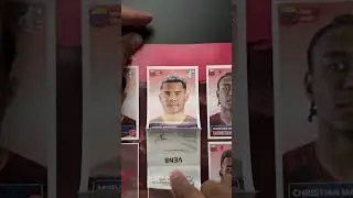 plz dont rip it