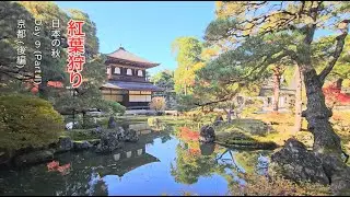 Japan Autumn 2024 - Day 9 (Kyoto) - Part II