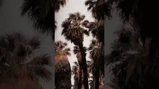 NBSPLV - Hide Ways