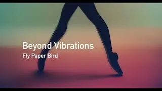 Beyond Vibrations / Fly Paper Bird – making-of