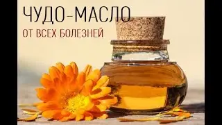 МАСЛО ОТ ВСЕХ БОЛЕЗНЕЙ | КАЛЕНДУЛА ЛЕКАРСТВЕННАЯ