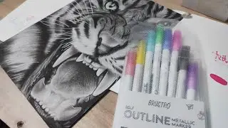This Marker have Outlines Itsself 😱|| Unboxing with Review Brustro Outline Metallic Marker |In hindi