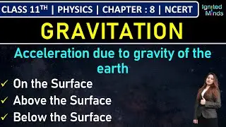 Class 11th Physics | Acceleration Due to Gravity of the Earth | Chapter 8: Gravitation | NCERT