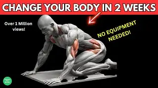 5 Exercises Without Equipment To Transform Your Body -Fast Results