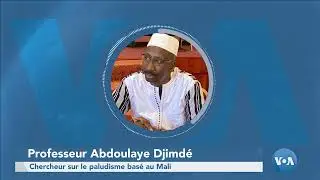 Résistances aux médicaments antipaludiques : l'inquiétude des chercheurs africains