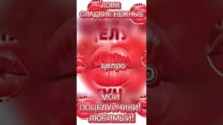 10 июля 2024 г.