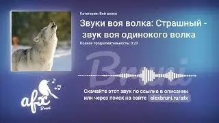 Звук: Звуки воя волка: Страшный звук воя одинокого волка