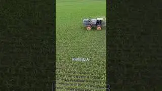 Should you spray when it's hot?