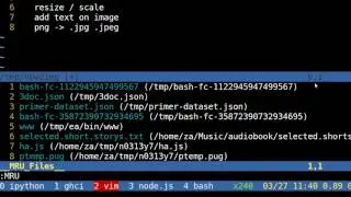 mongodb installation - the mongo shell and the python driver