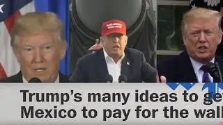 THE WALL