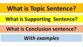 What is topic sentence? what is conclusion sentence? what is supporting sentence with examples.