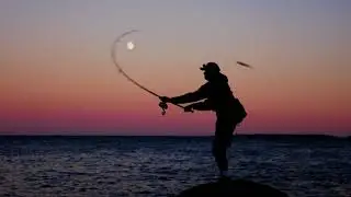 Lamiglas Surfcasting Division Trailer