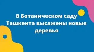 В Ботаническом саду Ташкента высажены новые деревья