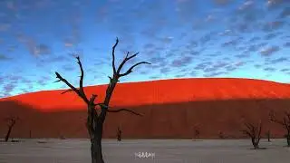 Pettra - soul time