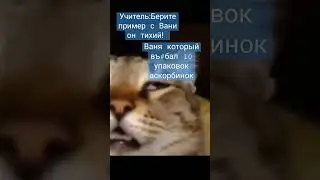 аскорбинки переел