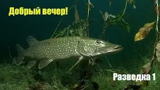 Рыбалка на Днепре! Щука, окунь во всей красе!