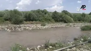Narin Güran kim tarafından öldürüldü?