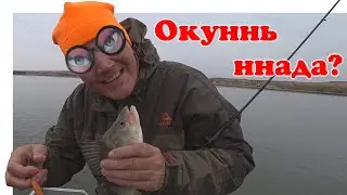 Рыбалка на Дону ▶ Fishing 2023 | 