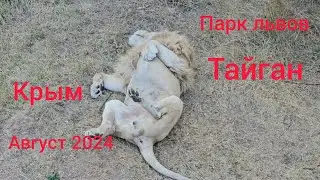 Парк львов 