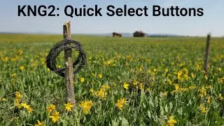 Bendix King KNG2: Quick Select Buttons