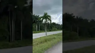 Autopista Nacional de Cuba hoy #cuba #cuban #travel
