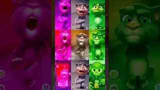 Talking tom cat 