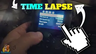 How to make a time lapse video with a hunting camera?