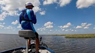 From Marsh to Meal! (Catch & Cook)