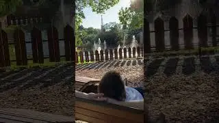 Коротко обо мне 😂