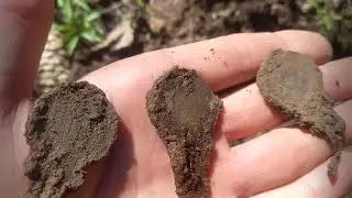Откритие сезона Коп в лесу !