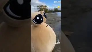 😐😐#viral #animation #video #viralshorts #foto