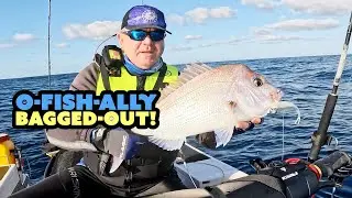 "O-Fish-Ally" Bagged-Out on Snapper!
