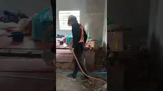 Anti-Termite #like #dog #pestcontrol #termitetreatment #youtube #love
