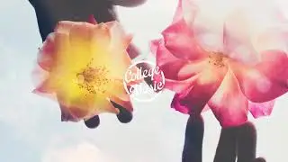 Kasper Lindmark - hearts that melt