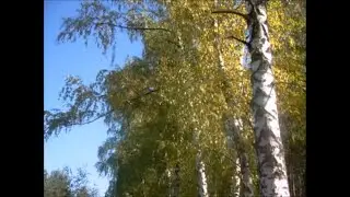 Золотая осень. Спокойная красивая музыка .