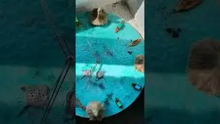 Искусство обязано цеплять💯