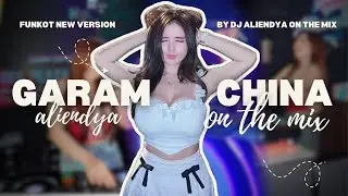 FUNKOT GARAM CHINA BY DJ ALIENDYA ON THE MIX
