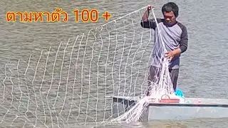 #ตามหาปลาบึกใหญ่มีจริงไม บ้านปราสาท ต.เชื้อเพลิง อ.ปราสาท จ.สุรินทร์