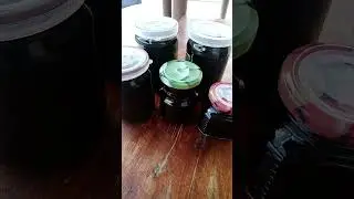 Варенье из жимолости.