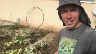 Tour of my Garden in the Golan Heights!